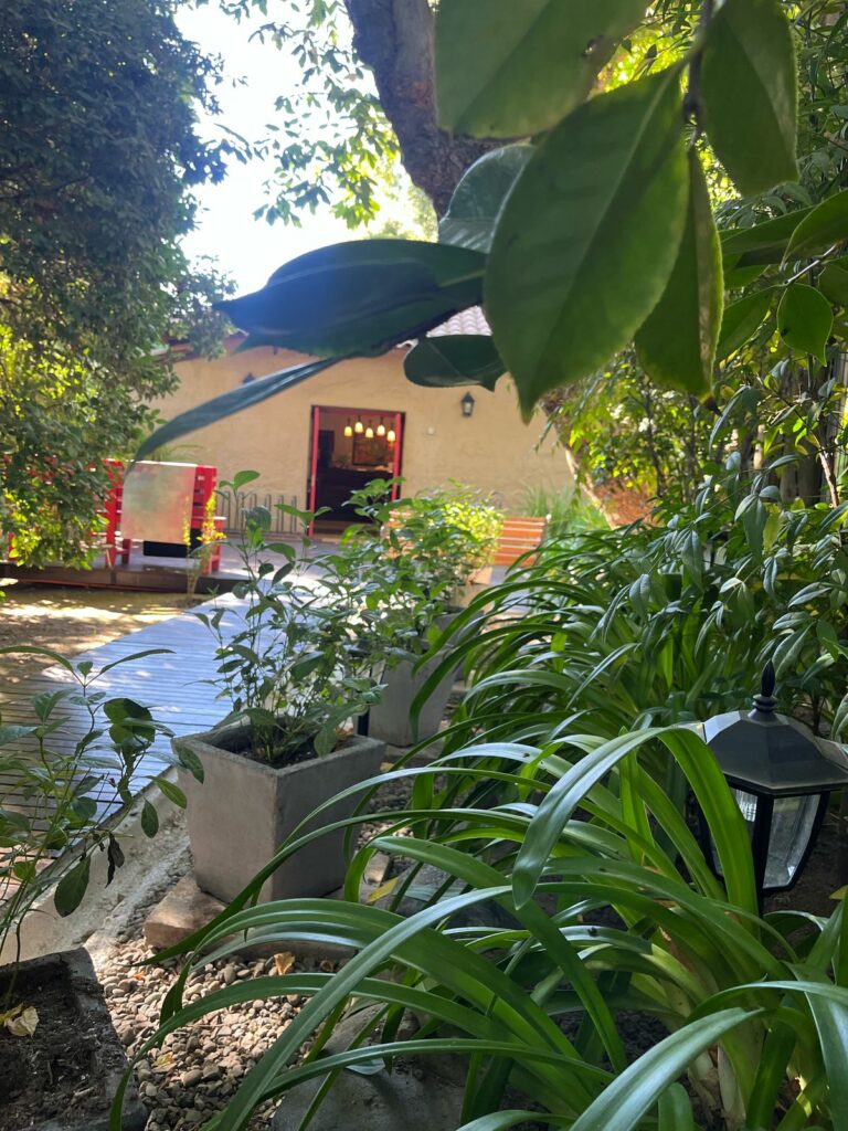 WhatsApp Image 2025-02-27 at 15.39.19 (4)